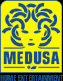Vai al catalogo Medusa
